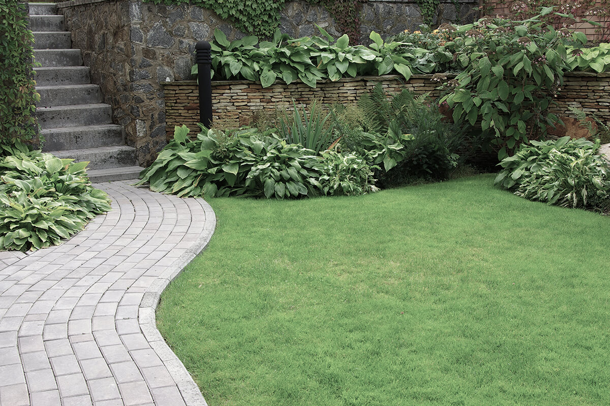 Welcome to JB Landscaping